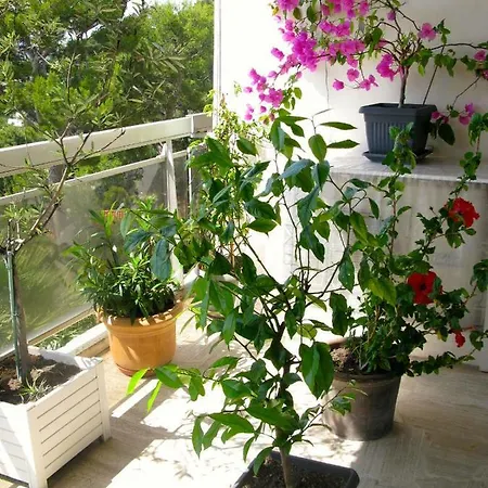 Le Parc De Appartement